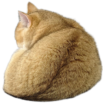 Kinako